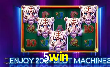 5win